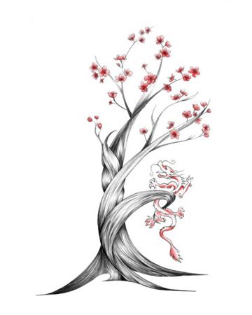 Blossom Tree Sketch At Paintingvalley Com Explore Collection Of