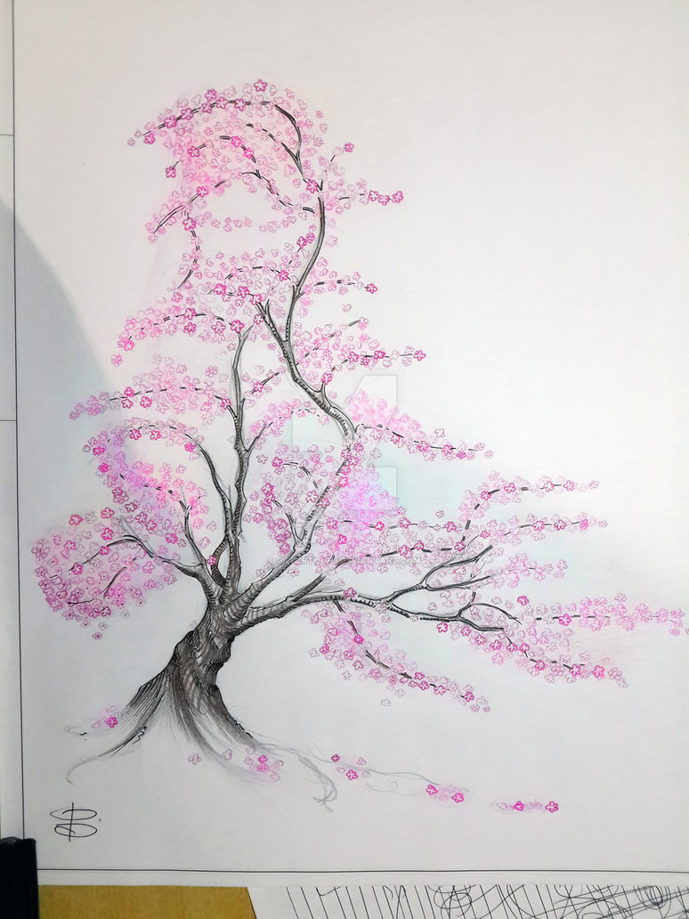 774x1032 Sketches Of Cherry Blossom Trees Cherry Blossom Treegilbertonfj On - Blossom Tree Sketch