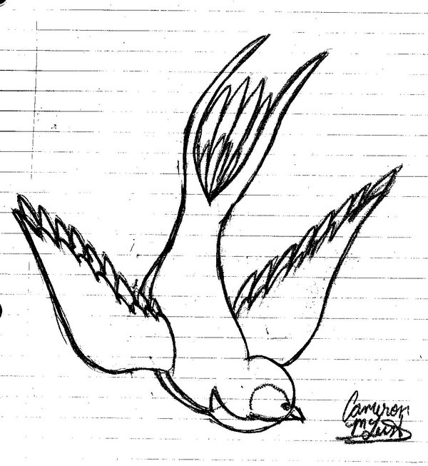 600x653 Blue Bird Sketch By Artitek - Blue Bird Sketch