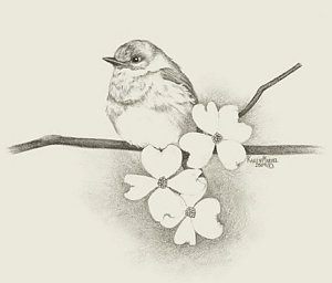 300x256 Bluebird Drawings Fine Art America - Blue Bird Sketch