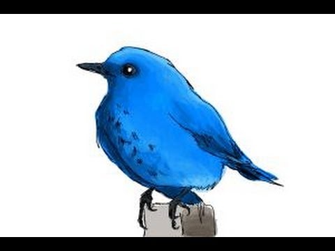 480x360 How To Draw A Bluebird - Blue Bird Sketch