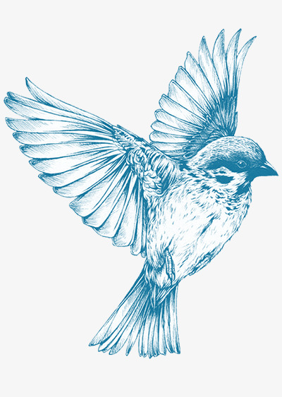 400x563 Lovely Bird Sketch, Bird Clipart, Blue, Bird Png Image And Clipart - Blue Bird Sketch