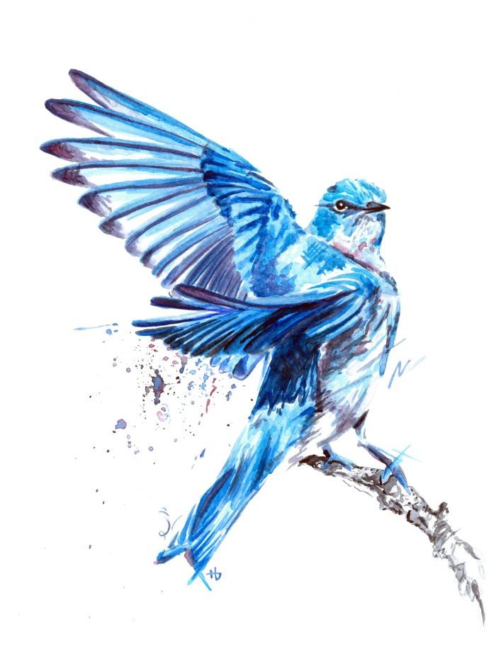 700x933 Mountain Bluebird Print Haley Badenhop Art - Blue Bird Sketch