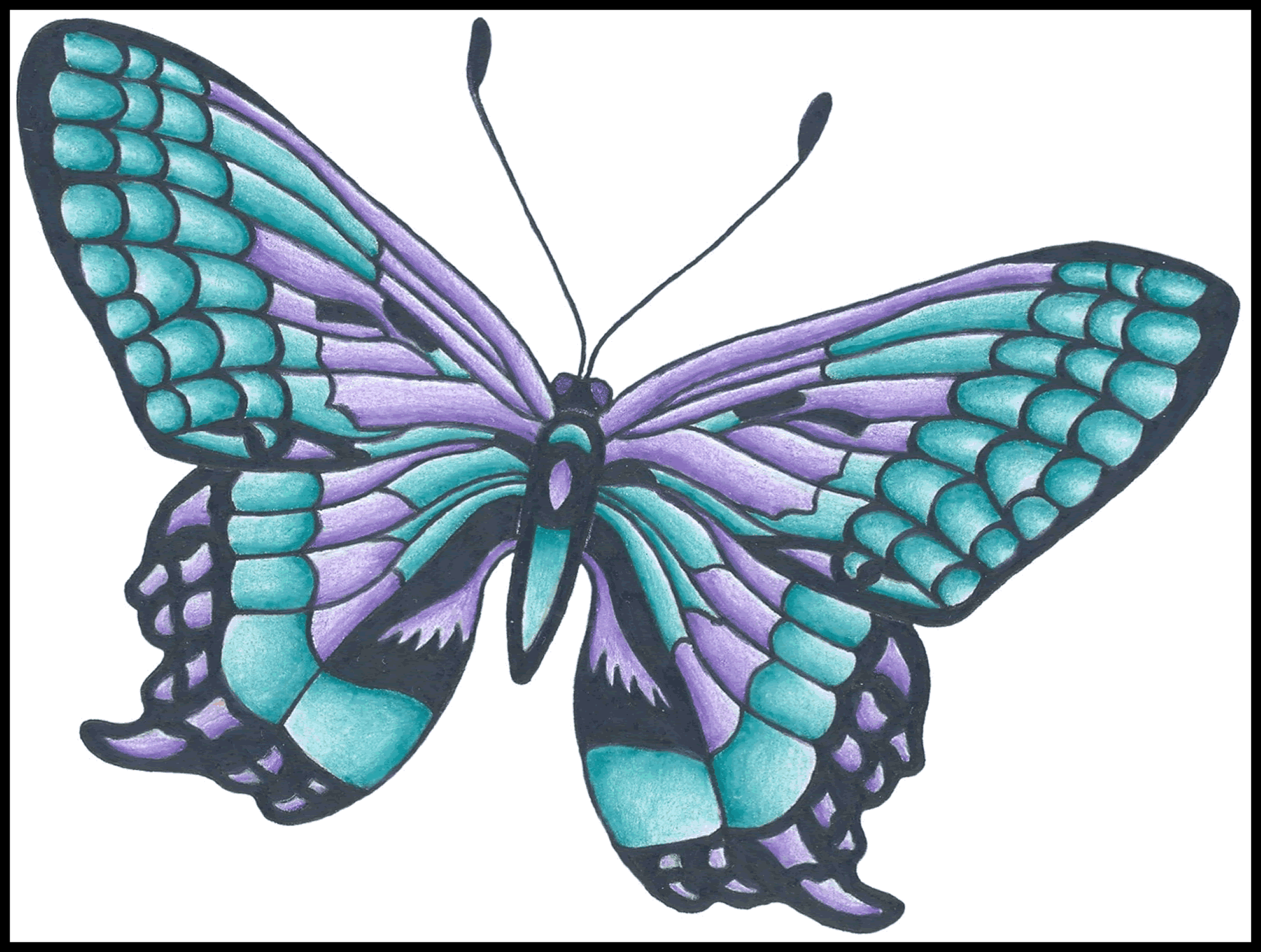1944x1468 Collection Of Free Drawing Butterflies Sketch. Download On Ubisafe - Blue Butterfly Sketch