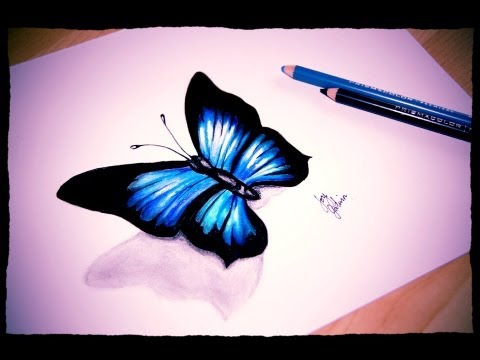 Blue Butterfly Sketch at PaintingValley.com | Explore collection of ...