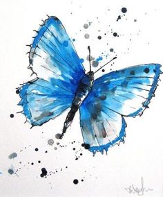 236x284 How To Draw Butterflies Art Lessons Butterfly - Blue Butterfly Sketch