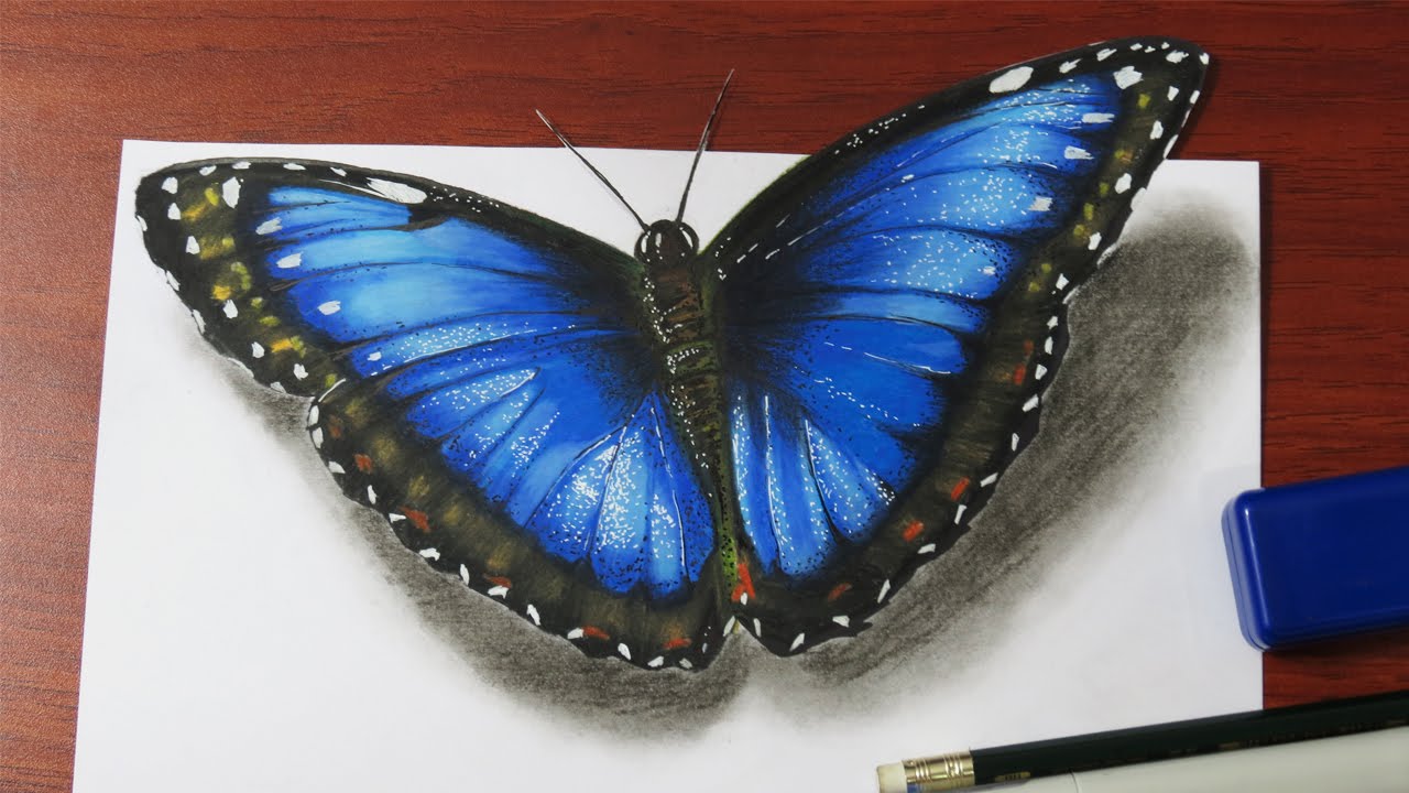 1280x720 How To Draw A Realistic Butterfly - Blue Butterfly Sketch