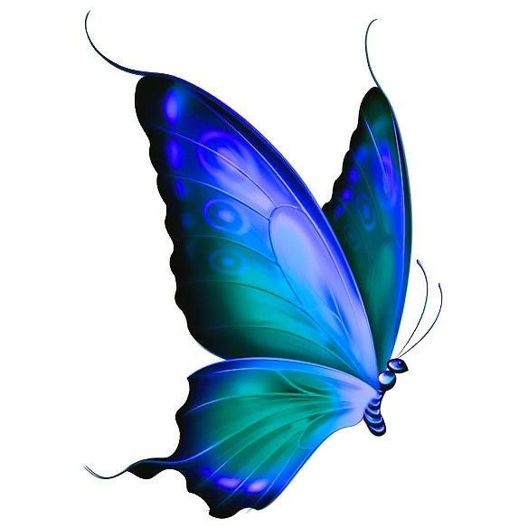 584x584 Pin By Brittney Fisher On Tats Moth, Tatting And - Blue Butterfly Sketch