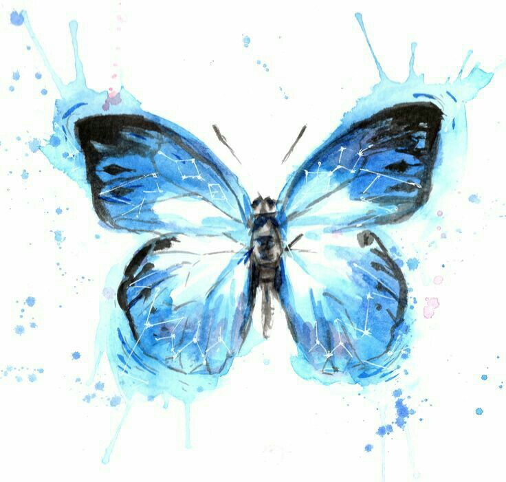 736x701 Pin By Miss Kaprizzz On Wallpapers Butterfly - Blue Butterfly Sketch