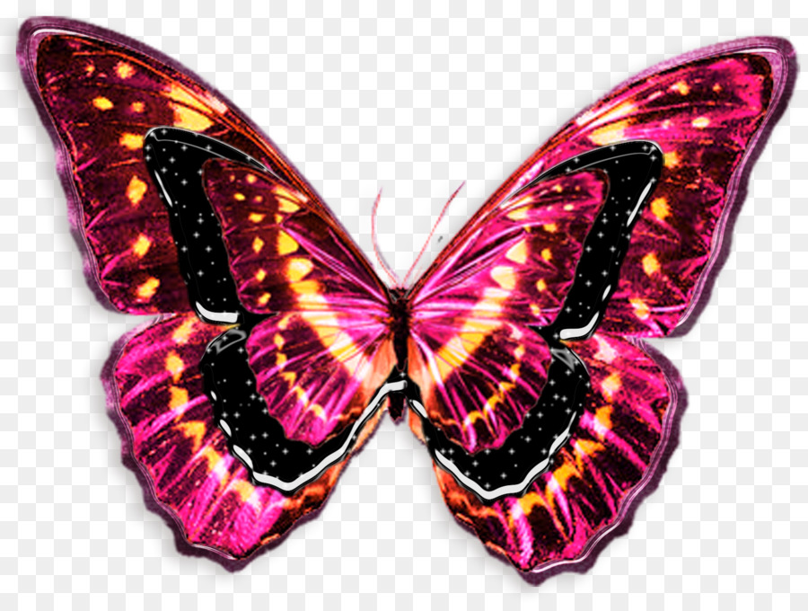 900x680 Sketch Light Butterflies And Moths Tattoo Photography - Blue Butterfly Sketch