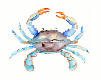 340x270 Blue Crab Drawing Clipart Panda - Blue Crab Sketch