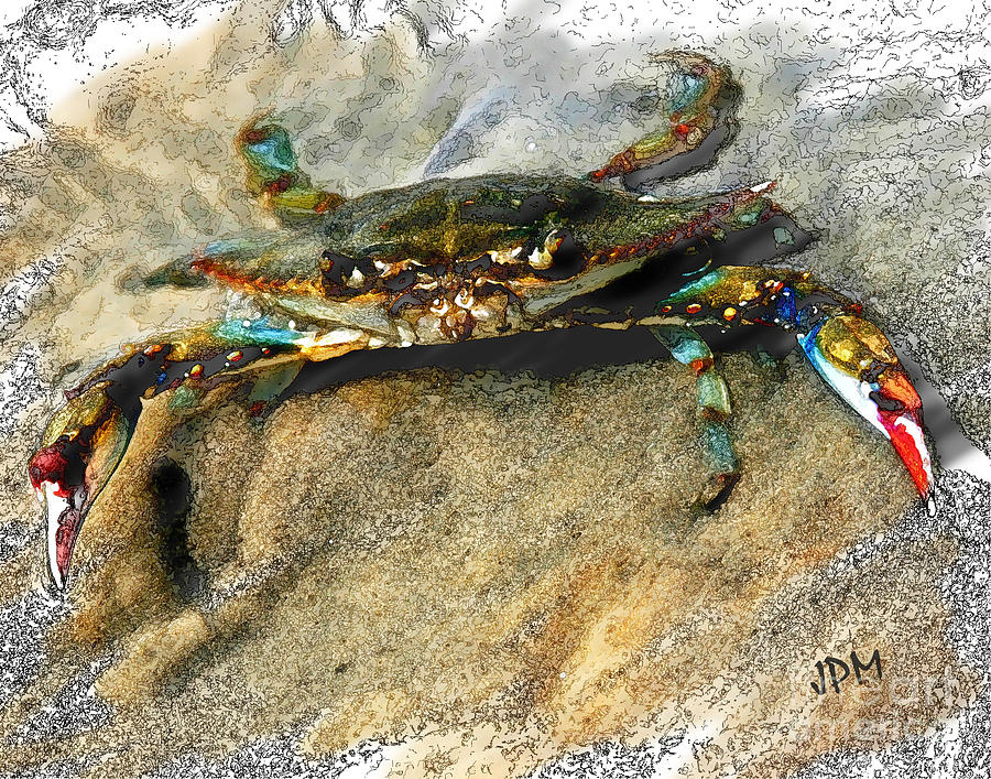 900x707 Crab Sketch Photo Photograph By Joan Mccool - Blue Crab Sketch