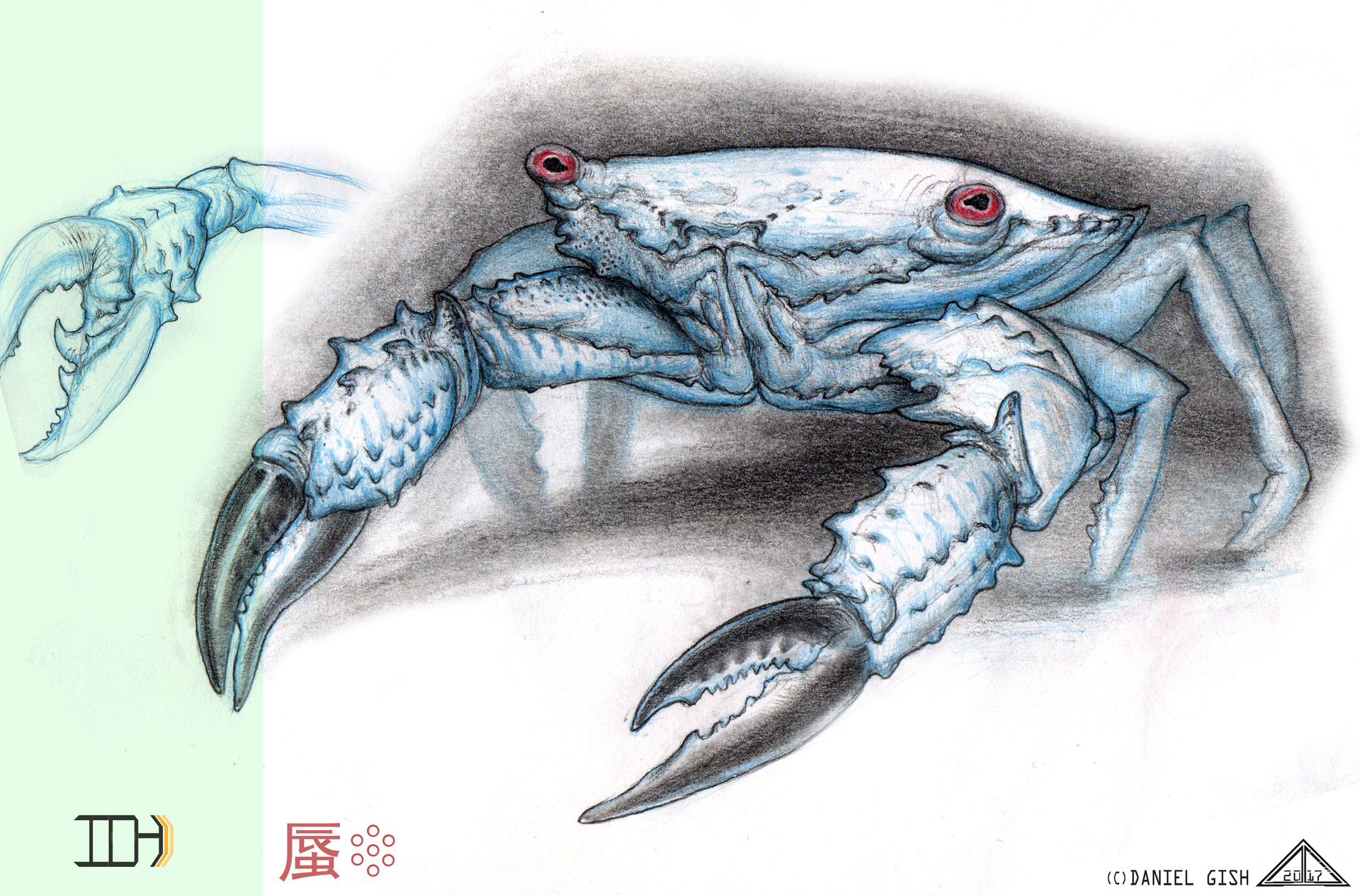 1920x1265 Artstation - Blue Crab Sketch