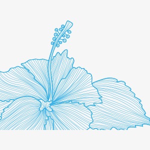 300x300 Blue Flowers Sketch, Blue, Flowers, Around Png And Psd File For - Blue Flower Sketch