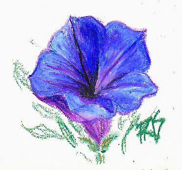 372x347 Easy Pastel Drawings Blue Flower Sketch By Robert A. Sloan In - Blue Flower Sketch