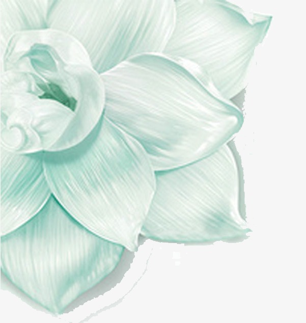 601x634 Flower Sketch, Flower Clipart, Plant, Blue Png Image And Clipart - Blue Flower Sketch