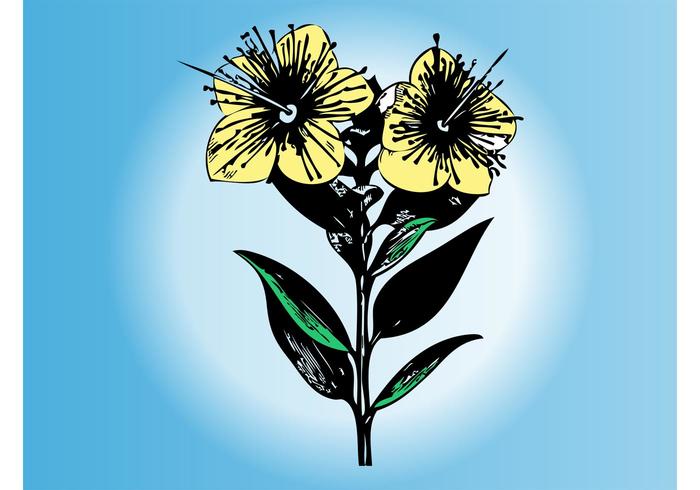 700x490 Flower Sketch Free Vector Art - Blue Flower Sketch