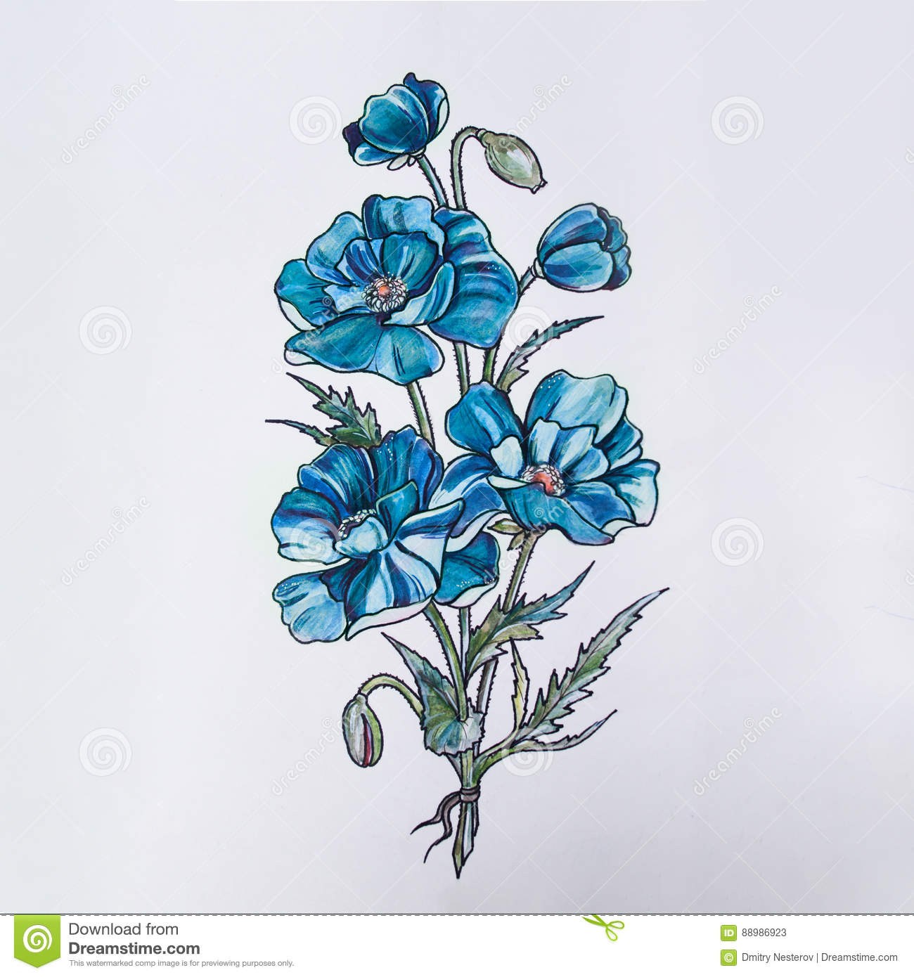 1300x1390 Images Of Beautiful Flowers Sketches Daily Health - Blue Flower Sketch