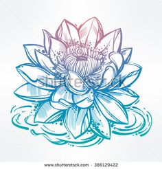 236x246 Lotus Flower Sketch Inspirations Flower Sketches - Blue Flower Sketch