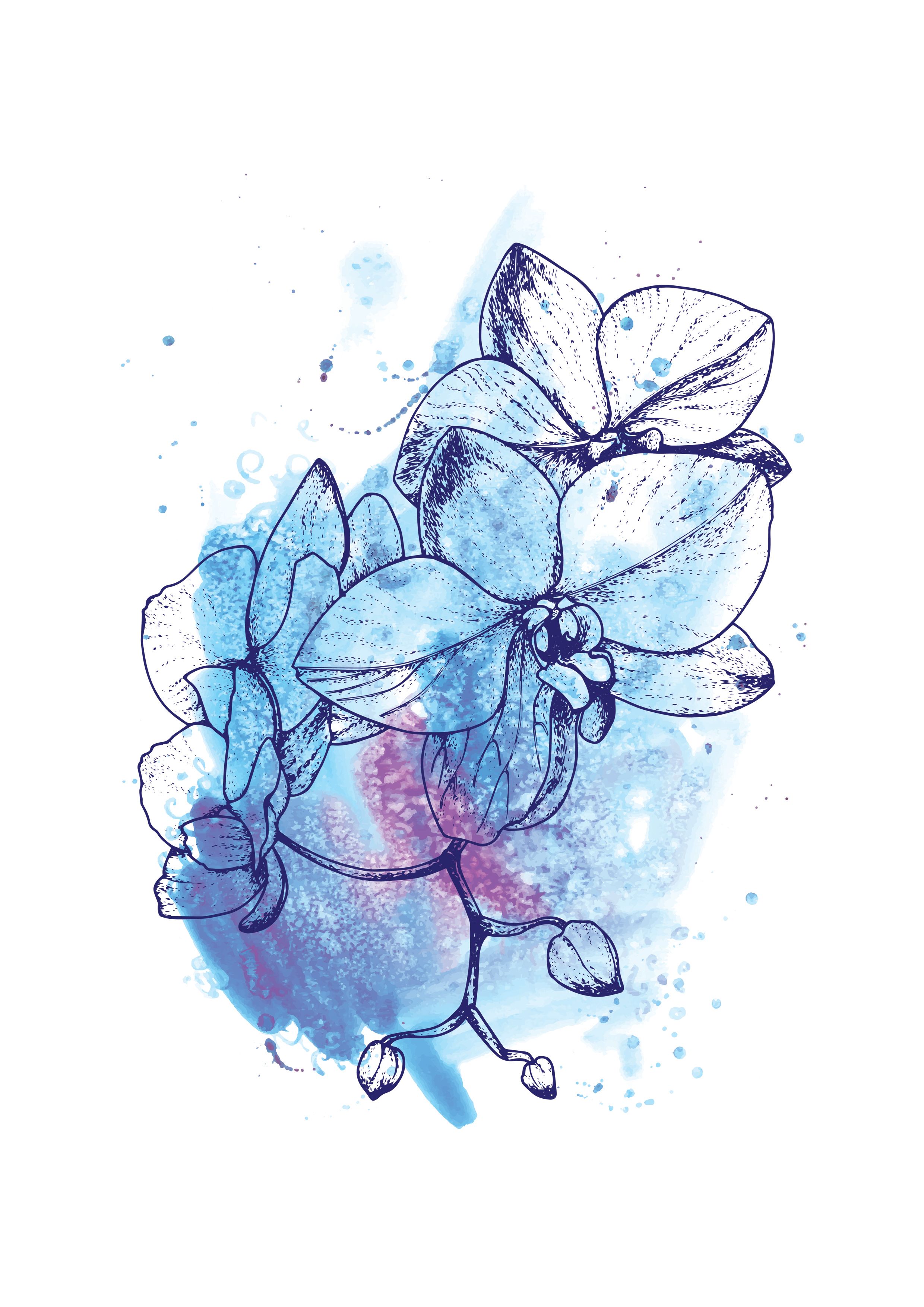 2480x3508 Orchid Wall Art, Blue Flowers, Watercolour Print, Flower Print - Blue Flower Sketch