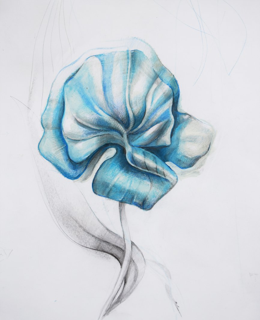 866x1065 Blue Flower Sketch Sofie - Blue Flower Sketch