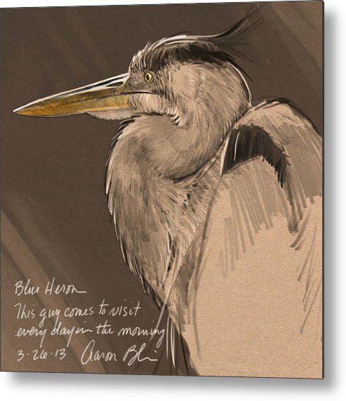 493x572 Blue Heron Sketch Metal Print By Aaron Blaise - Blue Heron Sketch