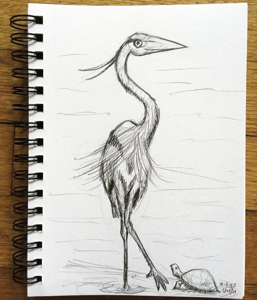 877x1024 Great Blue Heron (Sketch) Mcillustrator - Blue Heron Sketch