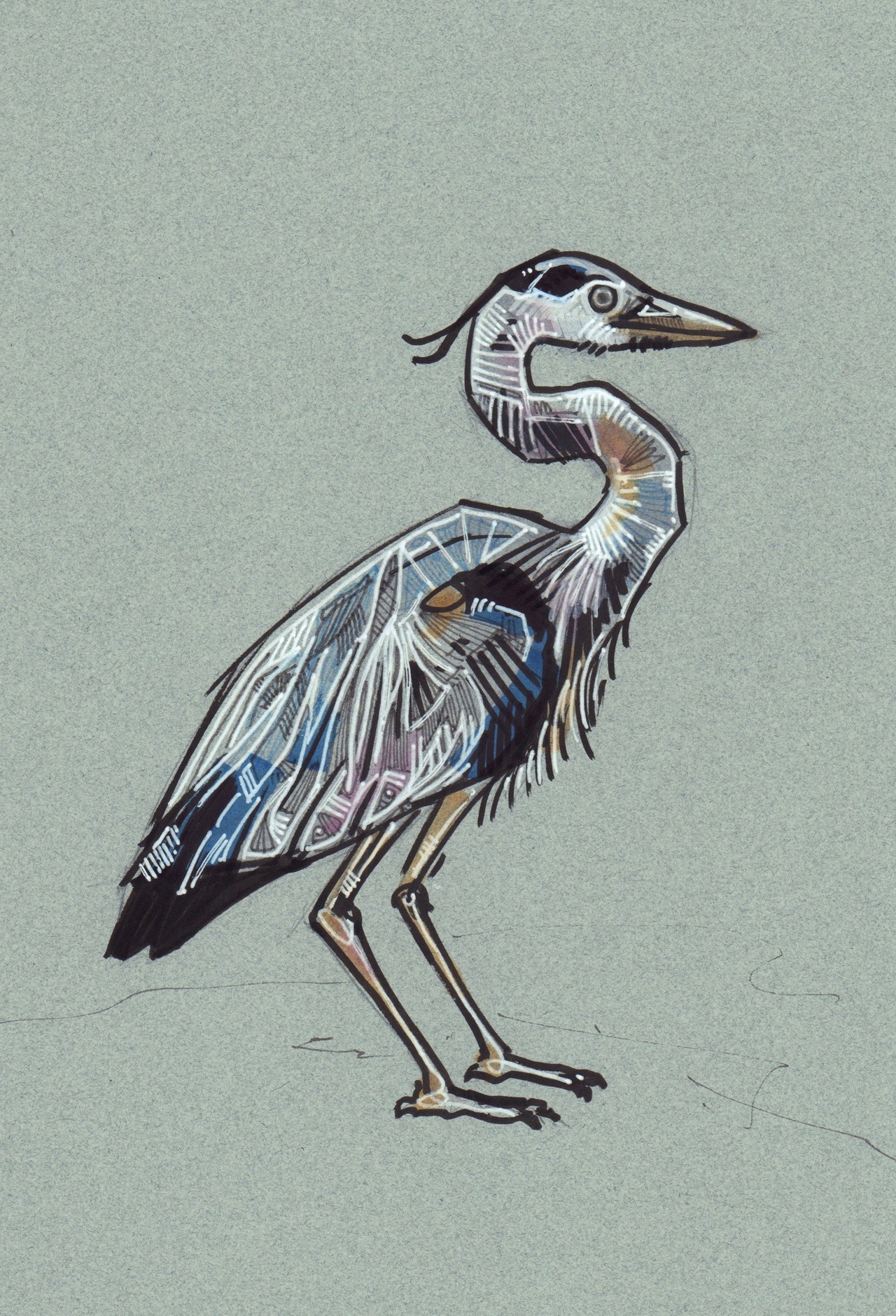 1280x1879 Just Art Great Blue Heron Sketch - Blue Heron Sketch