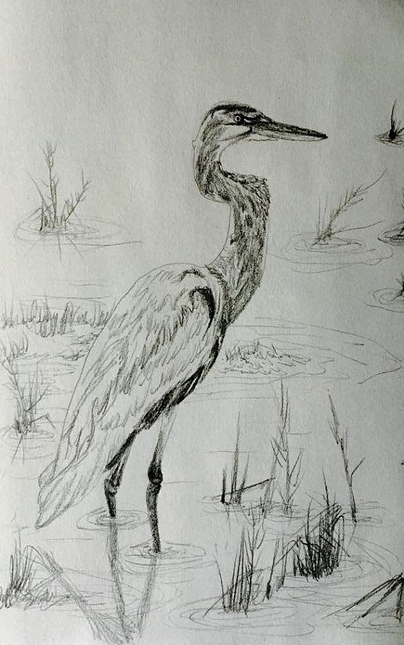 570x910 Nature Sketch Blue Heron Paintings Nature Sketch - Blue Heron Sketch