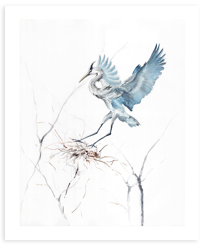864x1045 Blue Heron Landing Fine Art Print Watercolor Annie Moran - Blue Heron Sketch