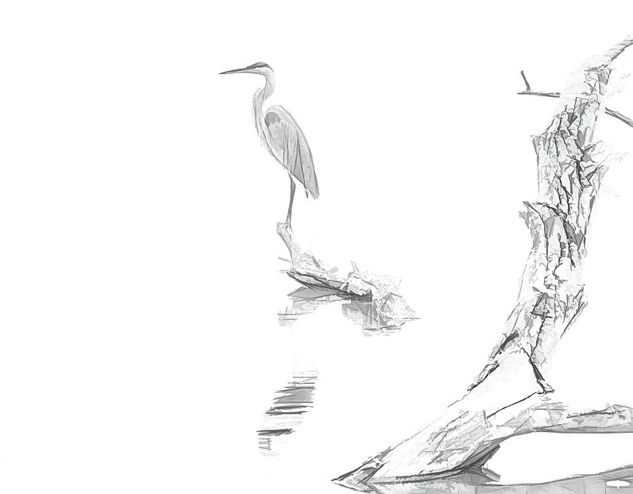 900x703 Blue Heron Minimal Sketch Drawing By Dan Sproul - Blue Heron Sketch