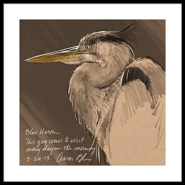 600x600 Blue Heron Sketch Framed Print By Aaron Blaise - Blue Heron Sketch