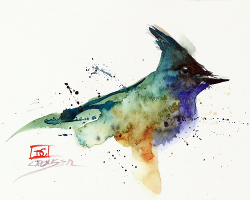 500x400 Blue Jay, Sketch - Blue Jay Bird Sketch