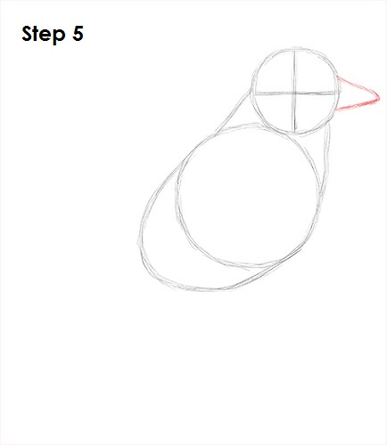 434x500 How To Draw A Blue Jay - Blue Jay Bird Sketch