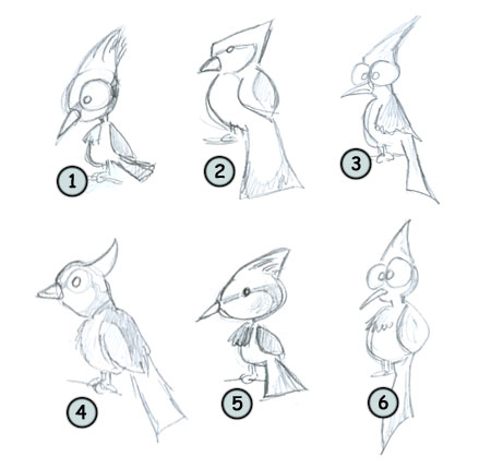 450x430 How To Draw A Bird - Blue Jay Bird Sketch