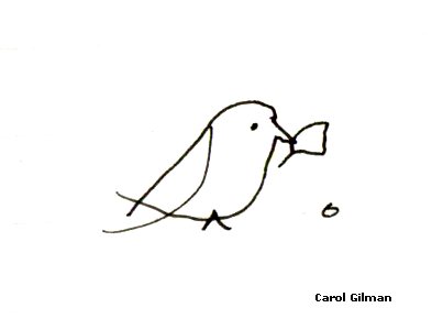 403x290 Sketch Of A Baby Blue Jay Archives - Blue Jay Bird Sketch