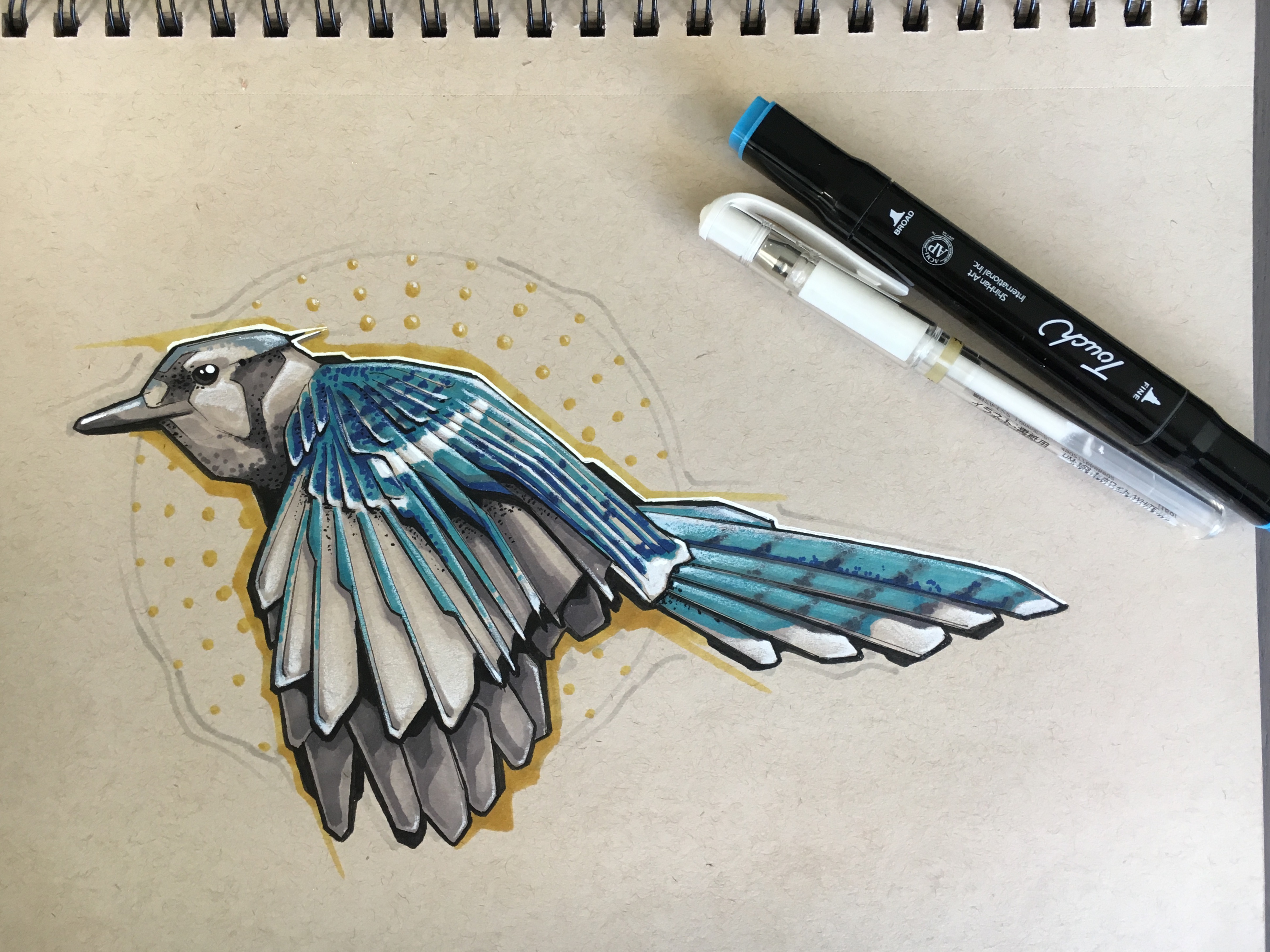 3884x2913 Blue Jay Sketch Drawing - Blue Jay Sketch