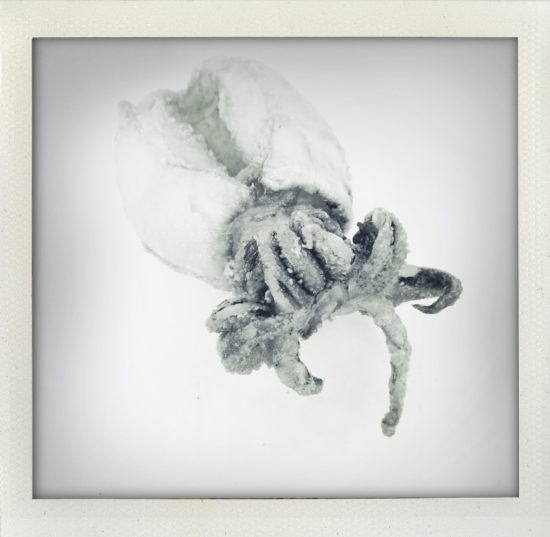 550x537 Blue Man Group Archives - Blue Man Group Sketch