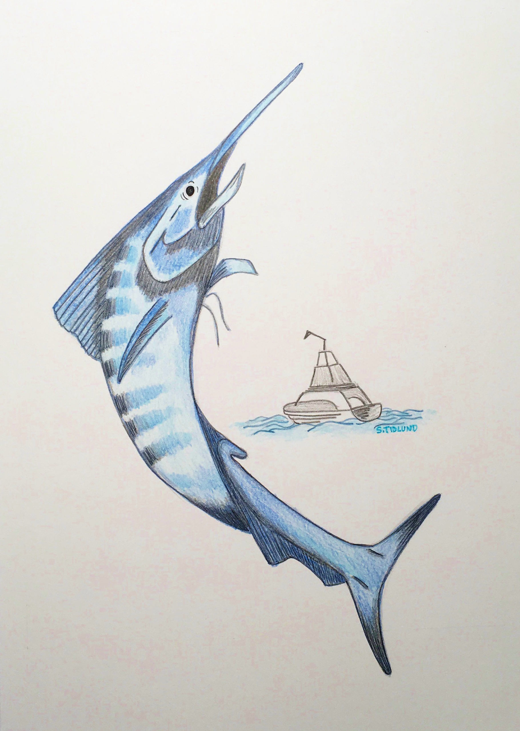 Blue Marlin Sketch at PaintingValley.com | Explore collection of Blue ...