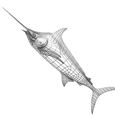 400x400 Blue Marlin Toon Fish 3d Model Cgtrader - Blue Marlin Sketch