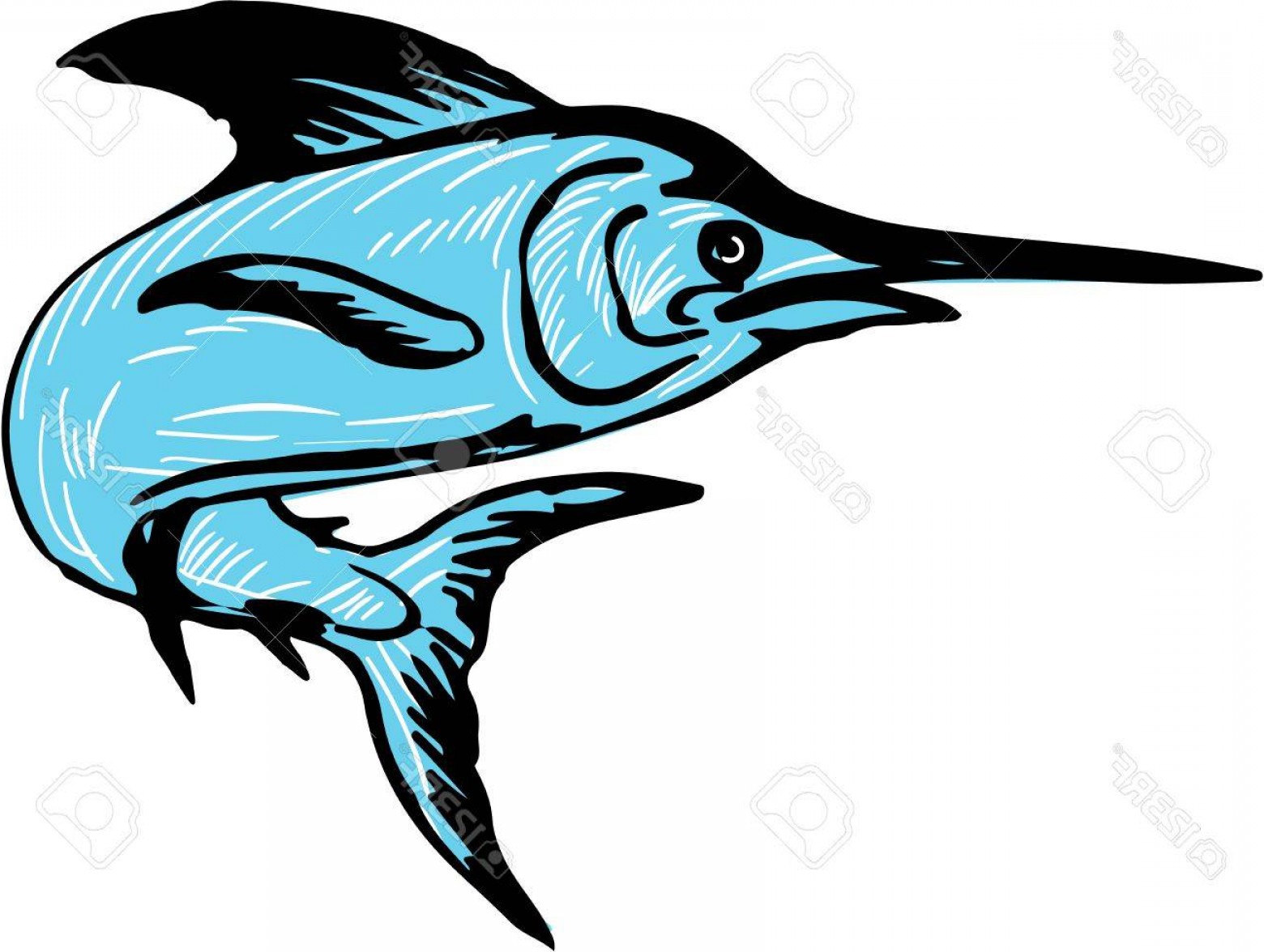 1560x1176 Photostock Vector Drawing Sketch Style Illustration Of A Blue - Blue Marlin Sketch