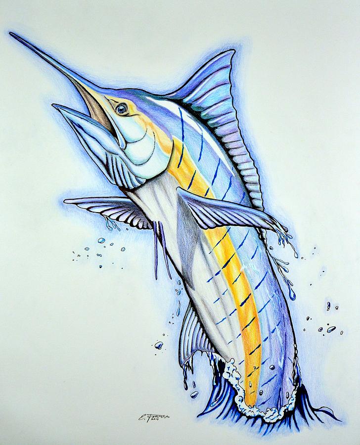 Blue Marlin Sketch at Explore collection of Blue