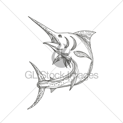 500x500 Atlantic Blue Marlin Doodle Gl Stock Images - Blue Marlin Sketch