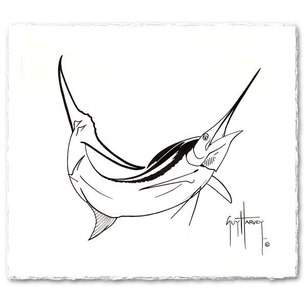 600x600 Blue Marlin Curve - Blue Marlin Sketch