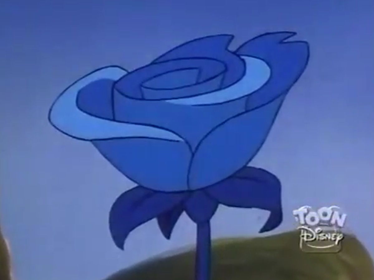 1200x900 Blue Rose Of Forgetfulness Disney Wiki Fandom Powered By Wikia - Blue Rose Sketch