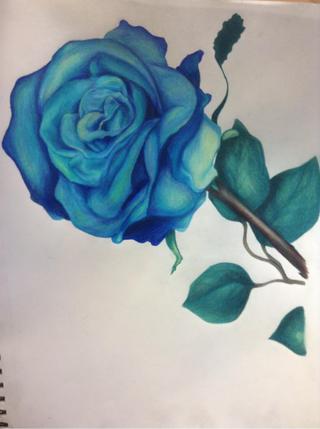 Blue Rose Sketch at PaintingValley.com | Explore collection of Blue ...