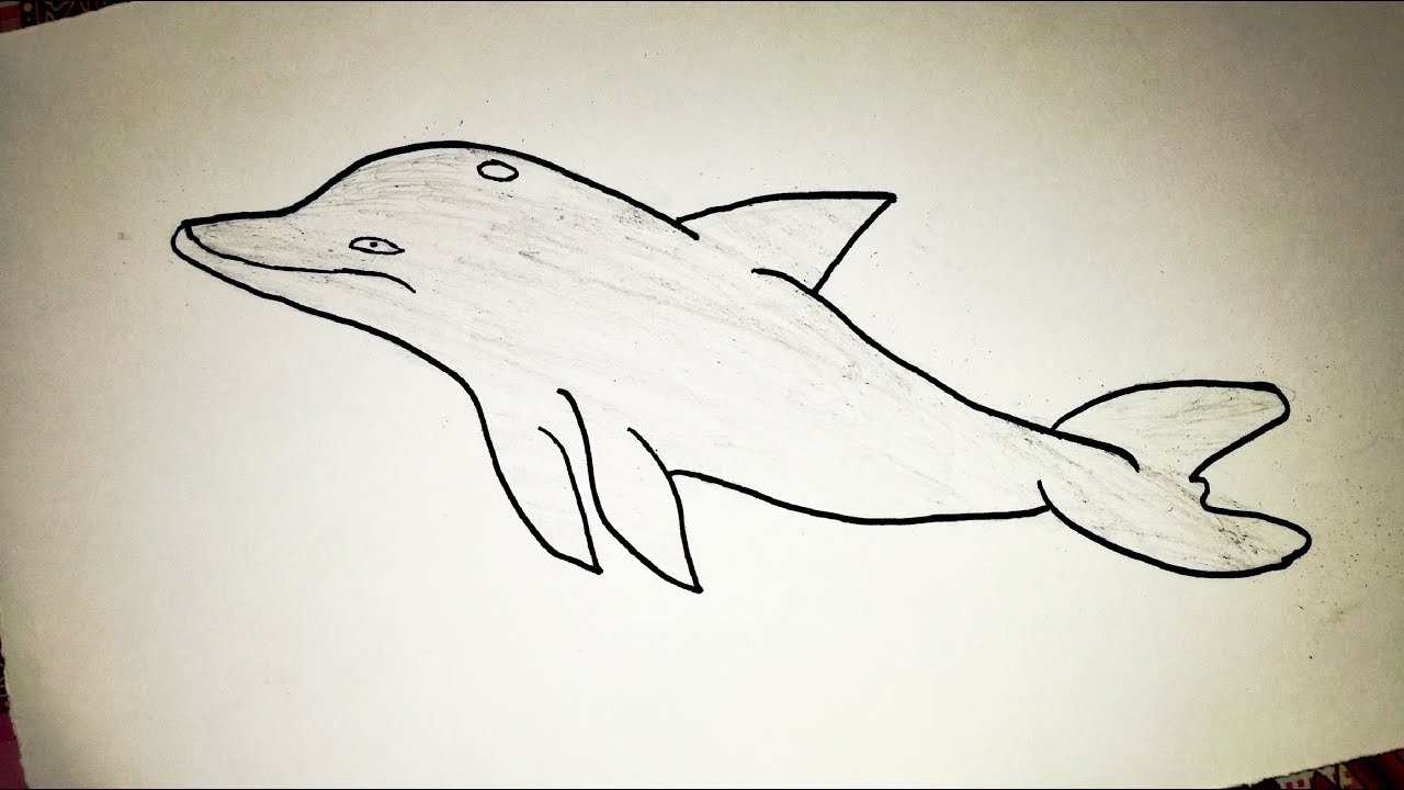 1280x720 How To Draw Blue Whale Draw Animals - Blue Whale Sketch