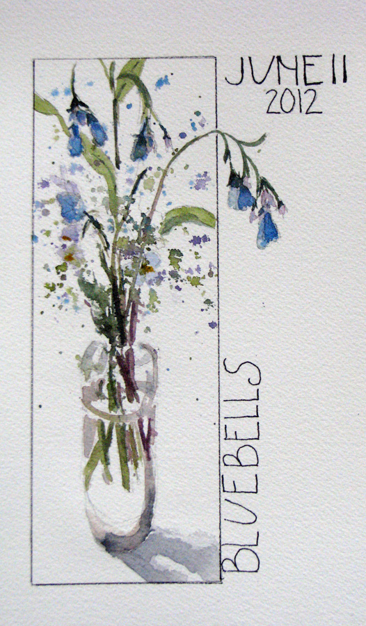 526x900 Bluebell Sketch Creating In Alaska - Bluebell Sketch