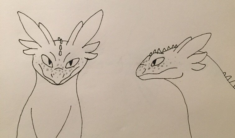 755x444 Bluebell Study H.t.t.y.d Amino - Bluebell Sketch