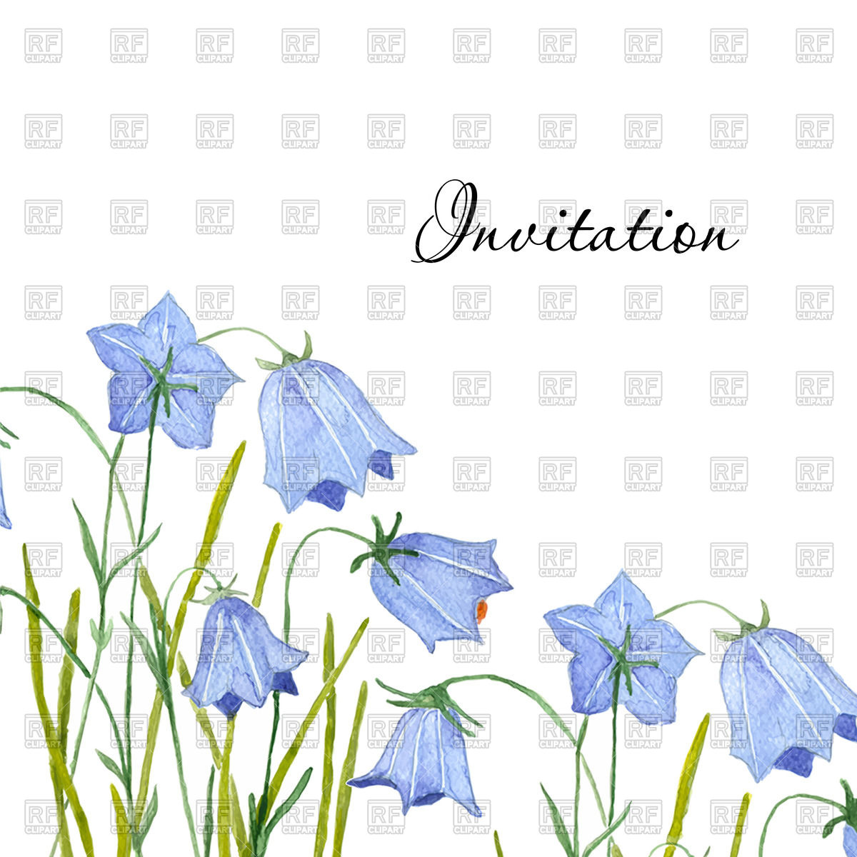 1200x1200 Bluebell Flowers - Bluebell Sketch
